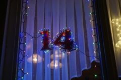 DSC01310